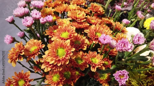 Vibrant Gerbera Daisies in Orange, Pink and Yellow