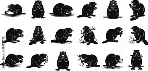 Set of black beaver silhouettes in various poses including swimming, gnawing on wood, sitting, and standing for wildlife and nature designs