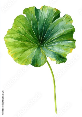 Vibrant green leaf with yellow spots, painted in watercolor