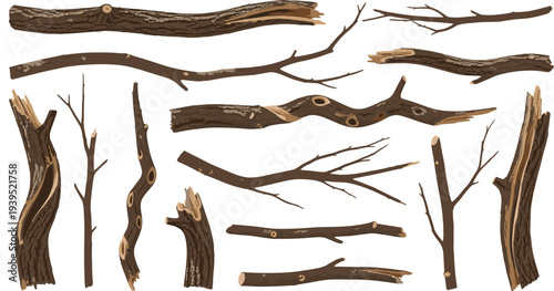 Set of realistic dry tree branches, broken wood sticks, and forest timber elements isolated on white background for rustic nature design.
