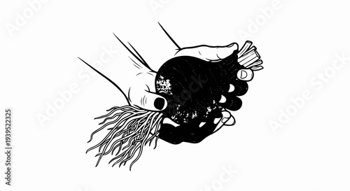 A close-up illustration of hands holding a dark root vegetable with long strands