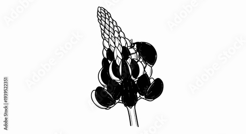 Black and white sketch of a lupine flower with a ladybug