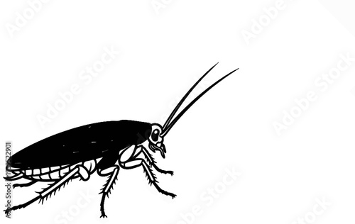 Detailed black and white illustration of a cockroach on a white background
