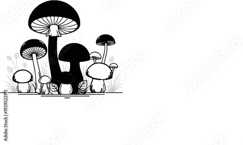 Diverse black and white mushrooms stand among stylized grass and leaves