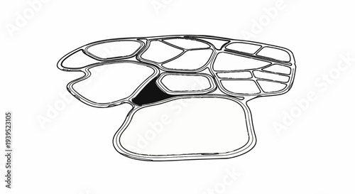 Organic interconnected cellular structure with one dark filled cell