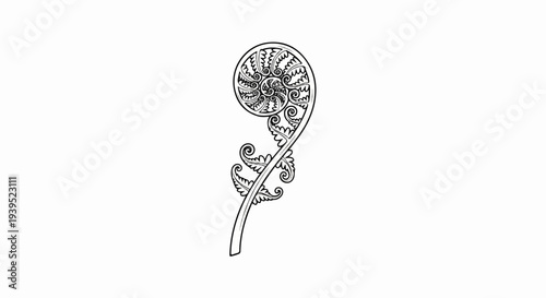 Black and white illustration of a coiled fern frond with decorative leaves