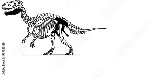 Black and white illustration of a dinosaur skeleton on a white background