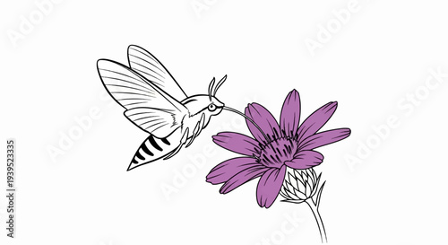 Line art of a moth-like insect with wings and striped body feeding on a purple flower