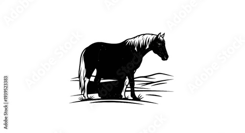 Black horse with white mane and tail standing on grassy ground