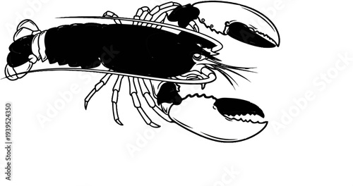 Stylized black and white drawing of a lobster with large claws and segmented tail