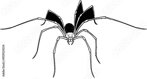Stylized black and white illustration of a spider with angular, wing-like appendages