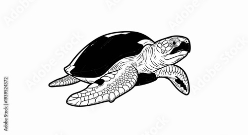 Stylized black and white illustration of a sea turtle with detailed scales
