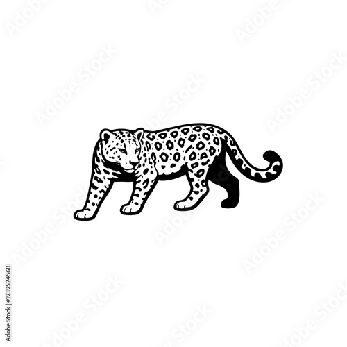 Foto Vector illustration of a wild leopard and cheetah with spots showcasing a feline