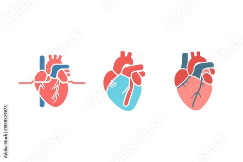 Human Organ and Brain Neural Network Icon Set - Medical Anatomy Heart and Digital Brain Intelligence for Healthcare, Biotech, Artificial Intelligence, and Cardiology Illustration