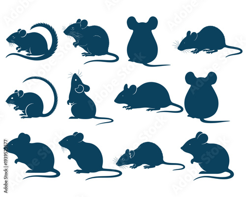 Chinchilla Silhouette SVG Bundle