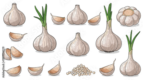 Comprehensive collection of garlic bulbs, individual cloves, and sprouted garlic pieces, including chopped garlic in a pile.