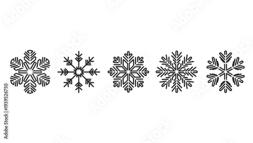 Collection of Unique Snowflake Designs.