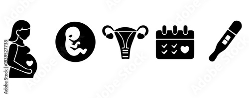 Pregnancy and Reproductive Health Icons, Black and White Medical icons of Pregnant Woman, Fetus, Uterus, Fertility Calendar, and Positive Test