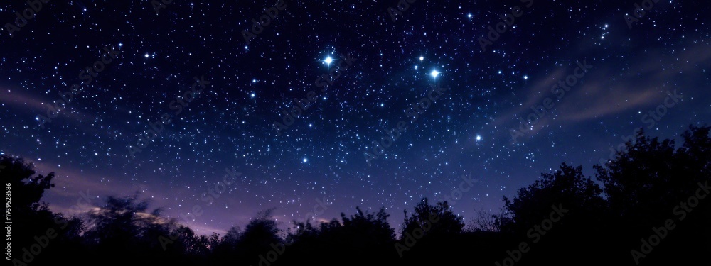 Fototapeta premium Starry night sky view over trees