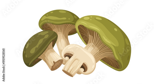 Four Green and White Mushrooms Isolated on White Background