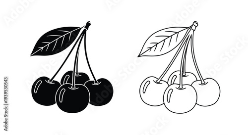 Two cherry branch illustrations showing contrasting tonal values silhouette