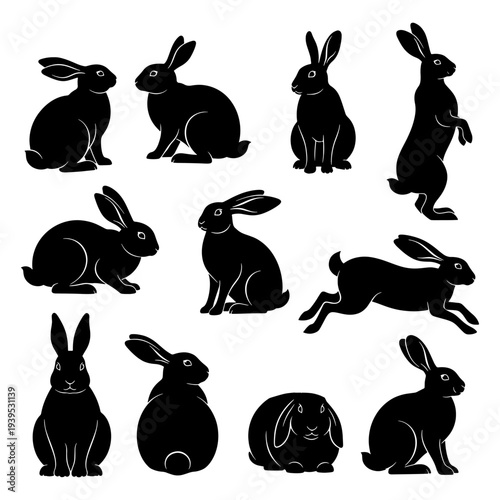Bunny Pet Silhouette in Different Poses