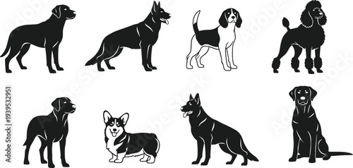 Black silhouette vector illustration of diverse dog breeds including Labrador, German Shepherd, Beagle, Poodle, and Corgi for pet design projects