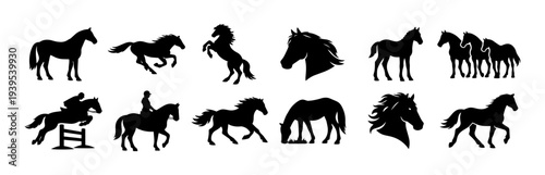 Horse Silhouettes Icon Set – Equestrian Horses, Running Mustang, Rider Jumping, Grazing Horse, Foal and Horse Head Black Vector Collection