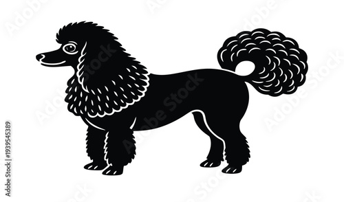 Black Poodle Silhouette Standing Proudly, Elegant Purebred Dog, Stylized Icon