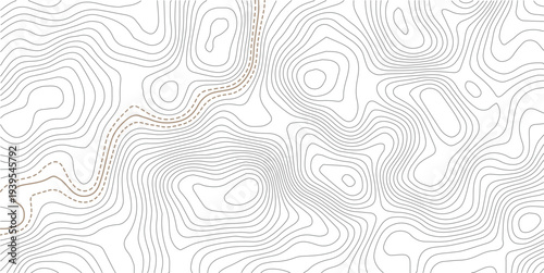Abstract minimal The patter discovery vector topo map. creative discovery White wave grid stripe line map topography.Geographic contour map. Abstract outline grid, vector illustration.