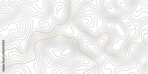 Abstract minimal The patter discovery vector topo map. creative discovery White wave grid stripe line map topography.Geographic contour map. Abstract outline grid, vector illustration.