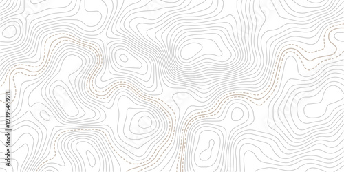Abstract minimal The patter discovery vector topo map. creative discovery White wave grid stripe line map topography.Geographic contour map. Abstract outline grid, vector illustration.