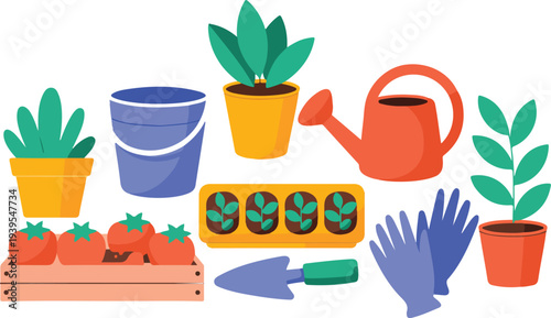 Potted plants and gardening essentials with blue bucket red watering can and vegetable seedlings on white