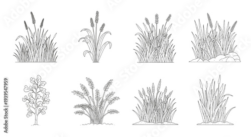 Wetland Forest Section Outline Set – Minimal Lawn Side View Elements for Landscape Architectural Drawings Vector