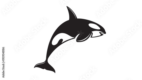 Orca killer whale jumping silhouette, black and white marine mammal leaping dynamically out of the water.