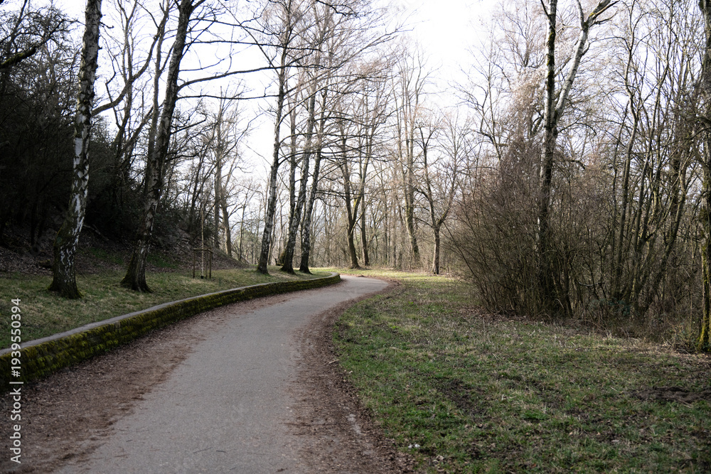 Obraz premium Fußweg in einem Park