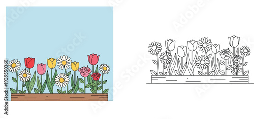 Spring flowers in a wooden planter box coloring page. Tulips, daisies, and roses colorful vector illustration and black and white line art for kids activity book.