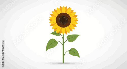 Bright Sunflower Illustration