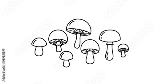 Minimalist line art drawing of various mushrooms on a white background