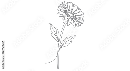 Quadro em tela Single Gerbera Daisy Line Drawing Illustration