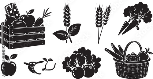 Fresh Harvest Vegetables and Fruits in Black and White