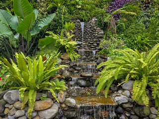 Wandcirkels Toilet Getrapte tuinwaterval met varens  © PhoneFocus