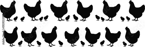 Chicken and chick silhouettes set, farm poultry hen with baby chicks collection, agriculture animal vector illustration icons