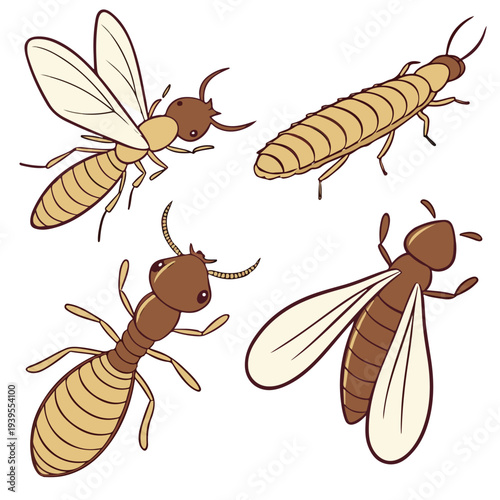 A detailed illustration showcasing different types of termites, highlighting their unique forms and characteristics. This image captures the diversity within the termite family.