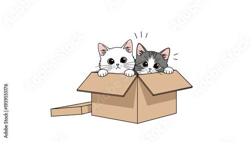 Two adorable kittens, one white and one grey tabby, peeking out from inside a brown cardboard box on a clean white background.