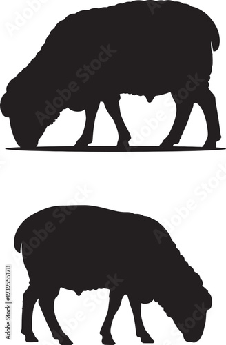 Silhouettes of two grazing animals likely sheep in different postures