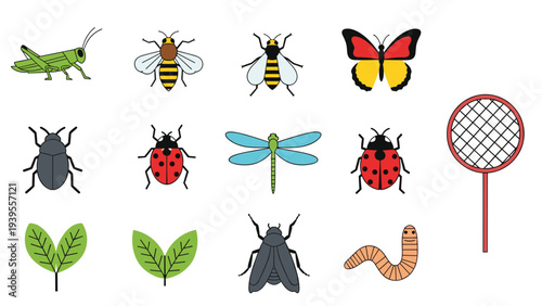 Educational collection of various colorful insects including a grasshopper, butterfly, bee, and beetle alongside a catching net and leaves.