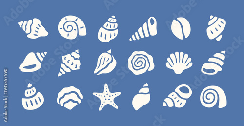 Set of hand-drawn shells in doodle naive style