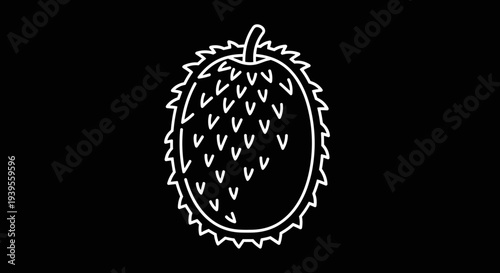 Durian Fruit Illustration Simple Design.
