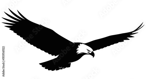 Majestic bald eagle in flight with outstretched wings soaring through the air with a strong sense of freedom and power in its natural habitat very clearly visible